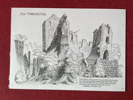 Castle Frankenstein